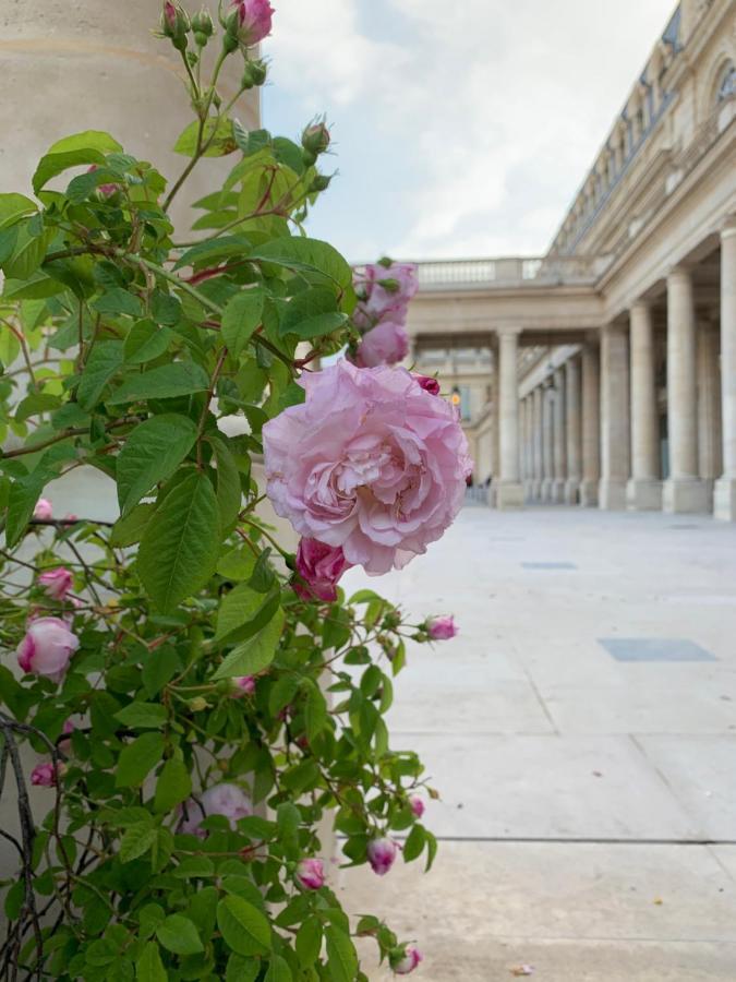 Appartment Near Louvre, Central Paris Exterior foto